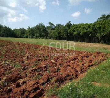 Istra, Svetvinčenat, poljoprivredno zemljište 3.820m2 - cover