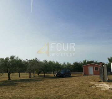 Istra, Barbariga, gospodarska zgrada na parceli 4.768m2 - cover