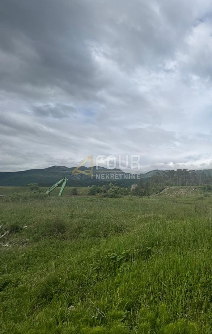 Fotografija