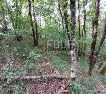 Veprinac, poljoprivredno zemljište 4013m2 - cover