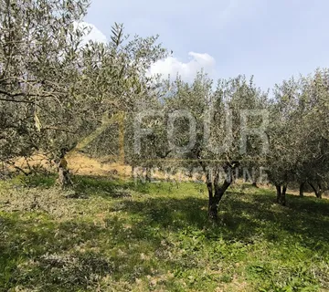 Istra, Buzet - okolica, poljoprivredno zemljište - cover