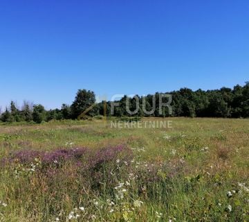 Istra, Sveti Lovreč, poljoprivredno zemljište 78.753m2 - cover