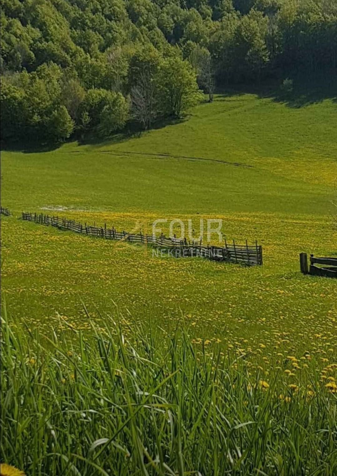 Fotografija