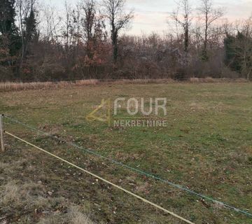 Istra, Žminj - okolica, poljoprivredno zemljište, 9.535m2 - cover