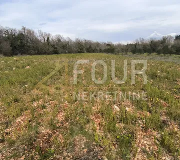 Istra, Marčana, poljoprivredno zemljište 7517m2 - cover