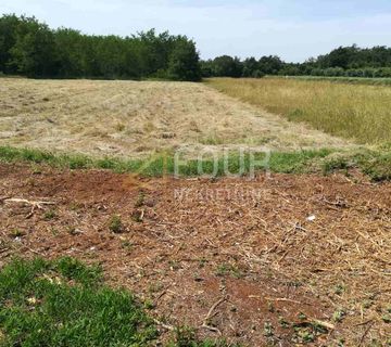 Istra, Krnica, poljoprivredno zemljište 4900m2 - cover
