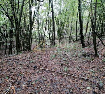 Klana, građevinsko zemljište 3.690m2 - cover