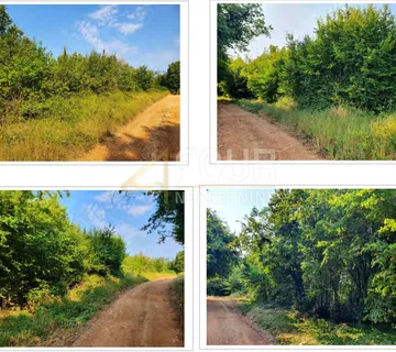 Istra, Kaštelir, poljoprivredno zemljište, 13.182m2 - cover