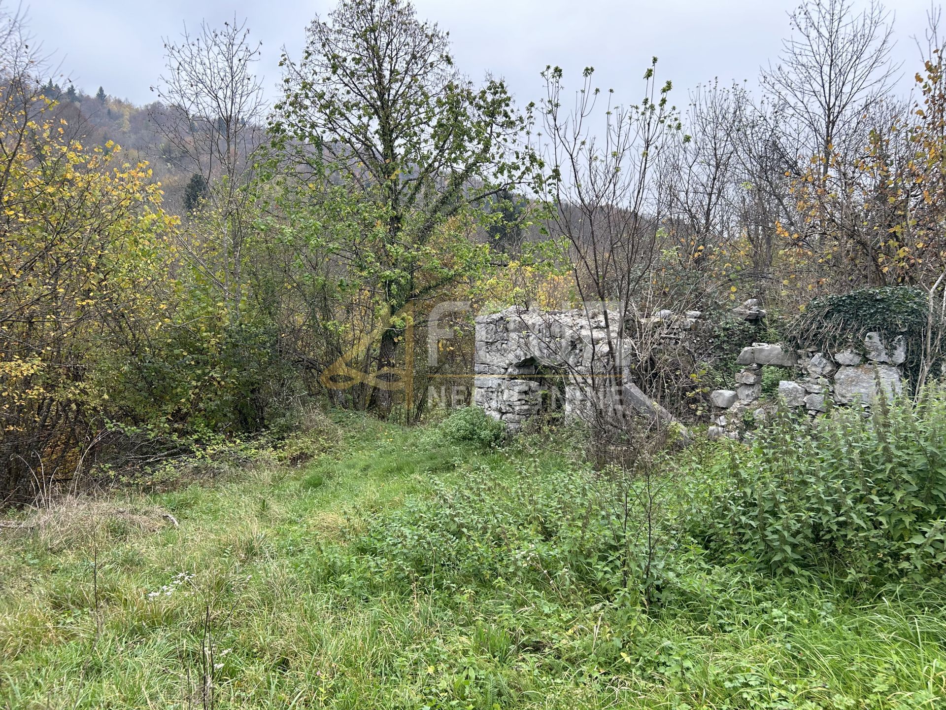 Fotografija