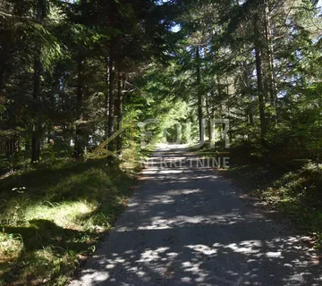 Gorki kotar, Tršće - okolica, veliko imanje s kućom - cover