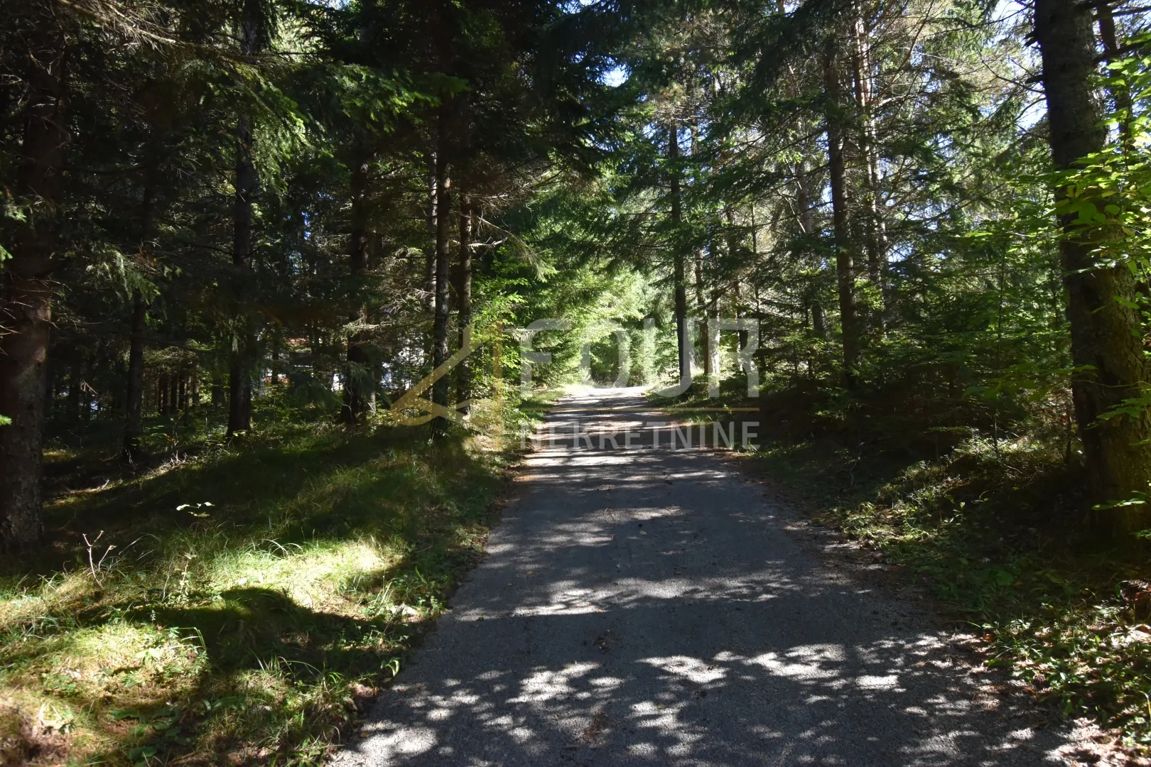 Gorki kotar, Tršće - okolica, veliko imanje s kućom - cover