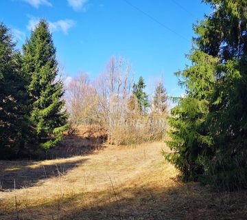 Gorski kotar, Lokve, poljoprivredno zemljište 22.210m2 - cover