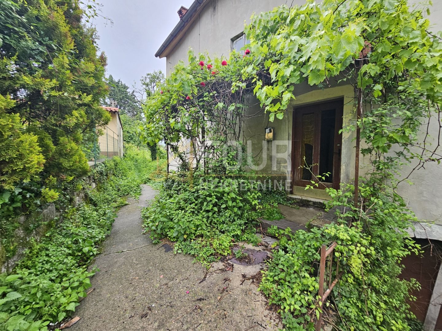 Fotografija