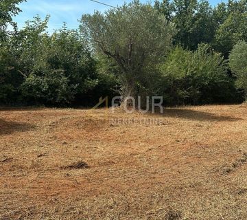 Istra, Bale, poljoprivredno zamljište, 3.060m2 - cover