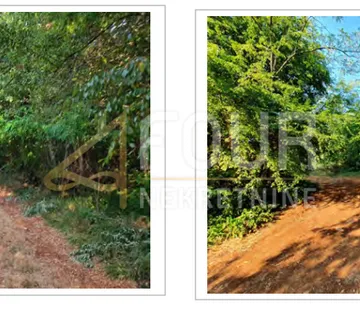 Istra, Kaštelir, poljoprivredno zemljište, 13.182m2 - cover