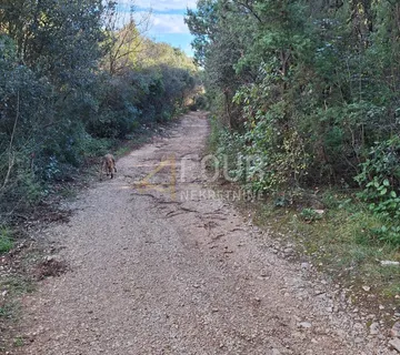 Istra, Kavran, poljoprivredno zemljište - cover