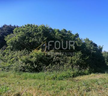 Istra, Valtura, poljoprivredno zemljište 9.985m2 - cover