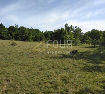 Istra, Višnjan - okolica, poljoprivredno zemljište 19.190m2 - cover