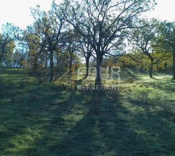 Krasica, građevinsko i poljoprivredno zemljište, 7.768m2 - cover