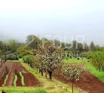 Istra, Labin, imanje - starina i velika okućnica - cover