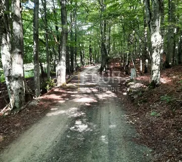 Gorski kotar, Lič, poljoprivredno zemljište, 9.794m2 - cover