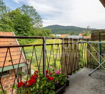 Gorski kotar, Ravna Gora, kuća s 2 stana, gosp. objektom i dvorištem