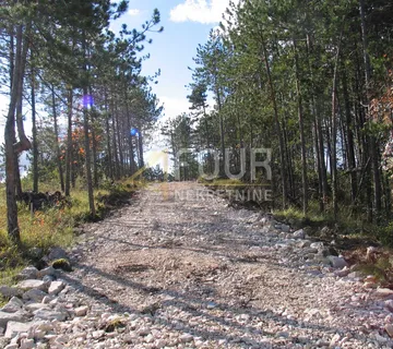 Istra, Gračišće, Lindar, građevinsko/poljoprivredno zemljište, 39.091m2 - cover