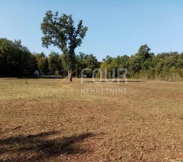 Istra, Poreč - okolica, poljoprivredno zemljište, 2.663m2 - cover