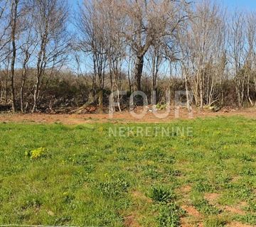 Istra, Vodnjan, poljoprivredno zemljište 478m2 - cover