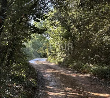 Istra, Šišan, poljoprivredno zemljište, 10.624m2 - cover