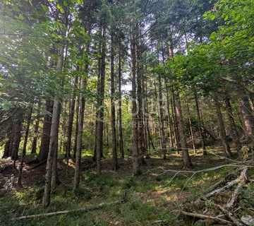 Klana, poljoprivredno zemljište 1.908m2