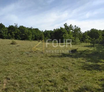 Istra, Višnjan - okolica, poljoprivredno zemljište 19.190m2 - cover