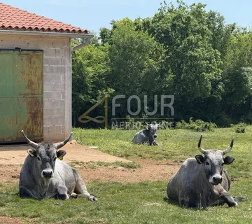 Istra, Marčana, samostojeći i dvojni gospodarski objekt - cover