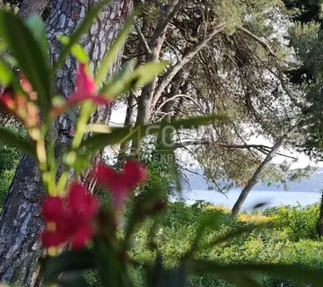 Istra, Medulin, 2 apartmana, okućnica, pogled na more - cover
