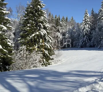 Gorski kotar, Ravna Gora - okolica, 3.115m2, građevinsko zemljište - cover