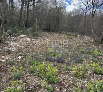 Otok Krk, Njivice, poljoprivredno zemljište, 670m2 - cover