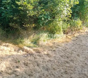 Istra, Buzet, građevinsko zemljište, 1.441m2