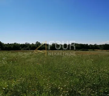 Istra, Sveti Lovreč, poljoprivredno zemljište 14.257m2 - cover