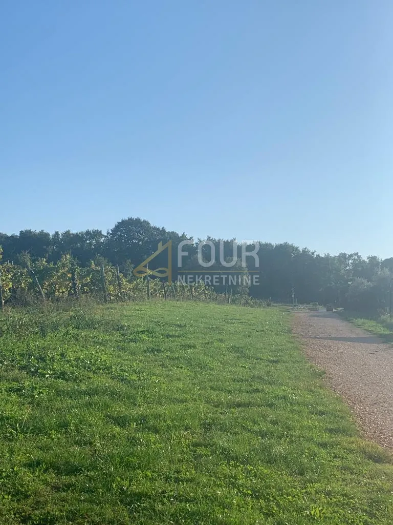 Istra, Pazin - okolica, poljoprivredno zemljište, 45.000m2 - cover