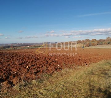 Istra, Vižinada, poljoprivredno zemljište, 24.068m2 - cover