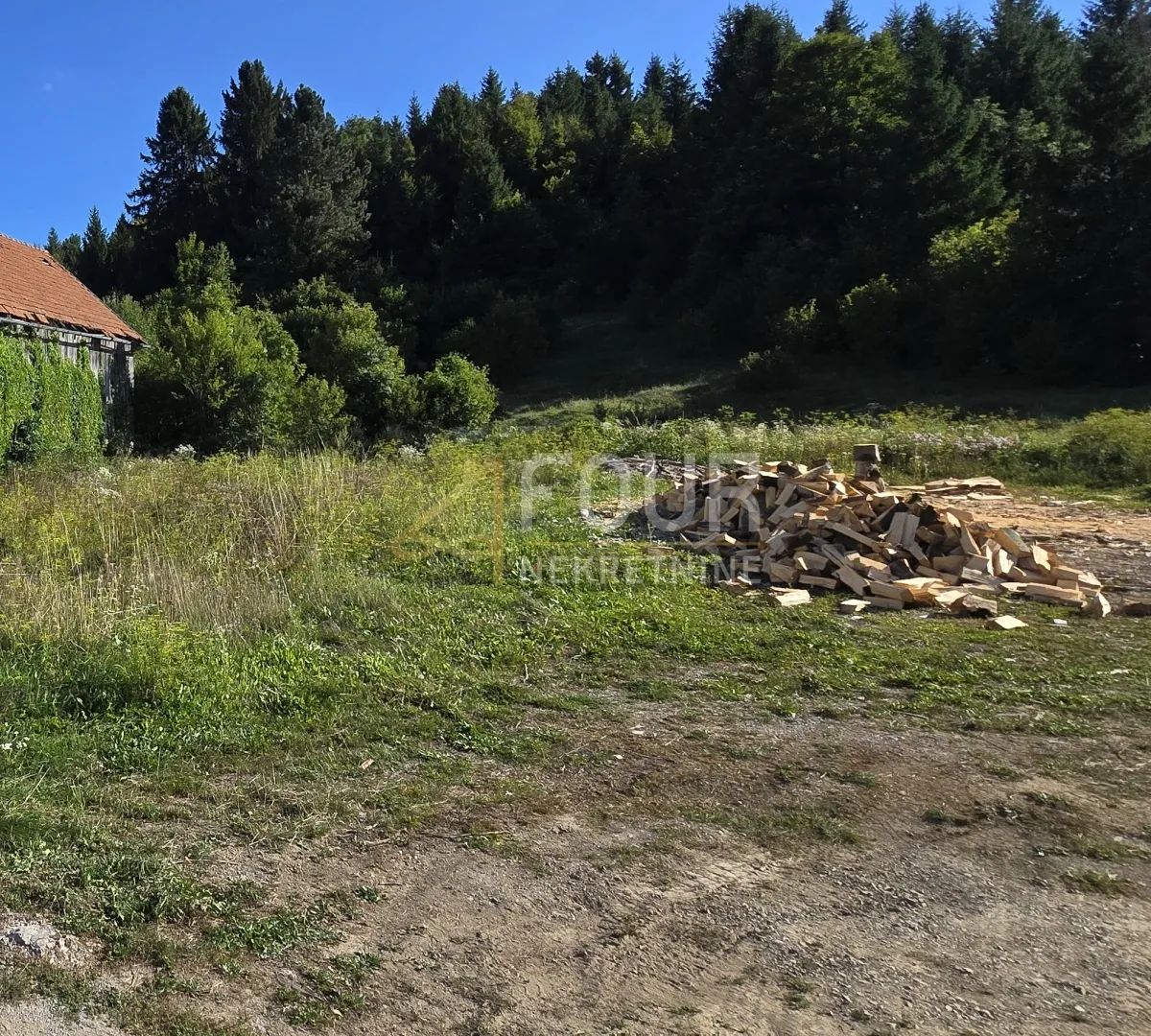 Fotografija