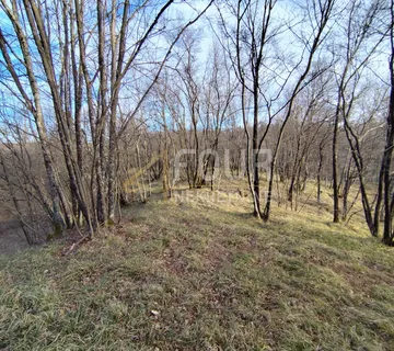 Viškovo, Saršoni, poljoprivredno zemljište 6.029m2 - cover