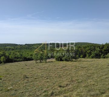 Istra, Višnjan - okolica, poljoprivredno zemljište 38.900m2 - cover