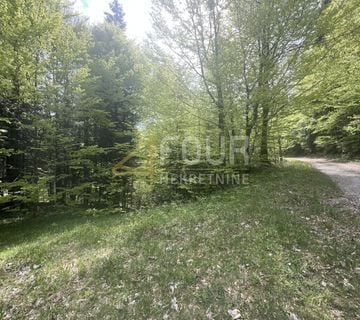 Gorski kotar, Vrbovsko, poljoprivredno zemljište 18.987m2 - cover