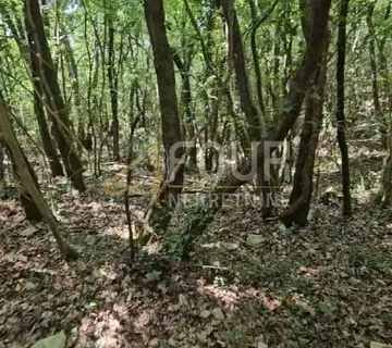 Istra, Marčana - okolica, poljoprivredno zemljište - cover