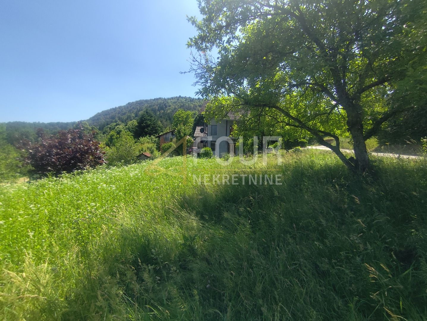 Fotografija