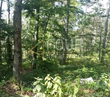 Škrljevo, poljoprivredno zemljište 29.685m2 - cover