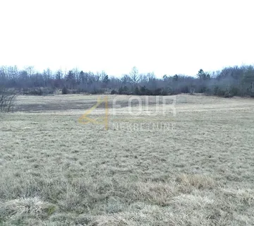 Istra, Hum, poljoprivredno zemljište, 1.569m2 - cover