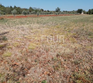 Istra, Marčana, poljoprivredno zemljište, 500m2 - cover
