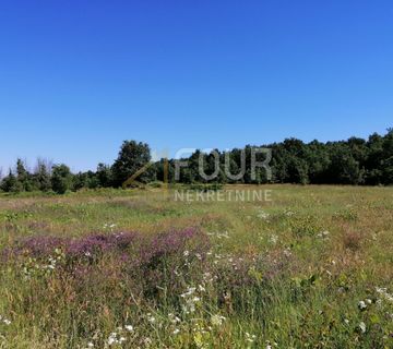 Istra, Sveti Lovreč, poljoprivredno zemljište 1.570m2 - cover